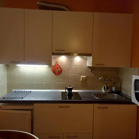 Panoramis In Daire Schladming