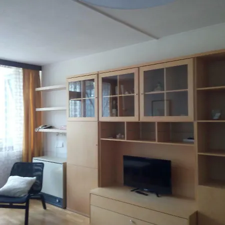 Panoramis In Apartmán Schladming