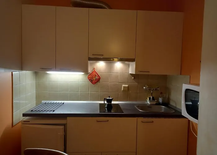 Panoramis In 公寓 斯拉德明