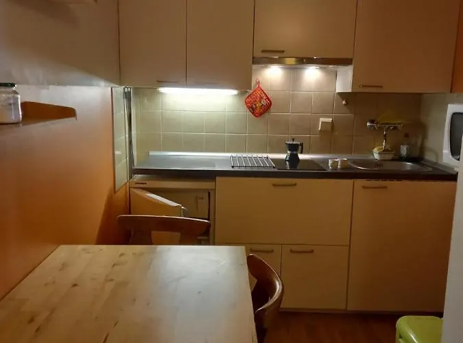 Panoramis In Apartment Schladming