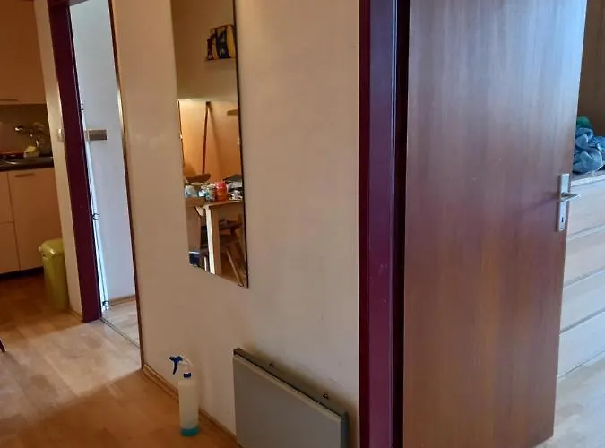 Panoramis In Apartment Schladming