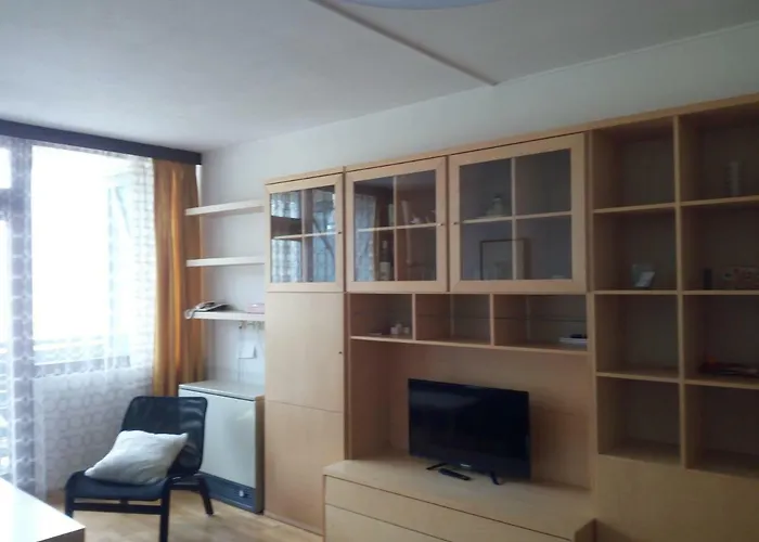 Panoramis In Apartment Schladming